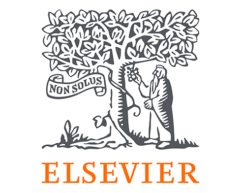 Quantum information theory: quantum entropies and their roles in quantum information processing